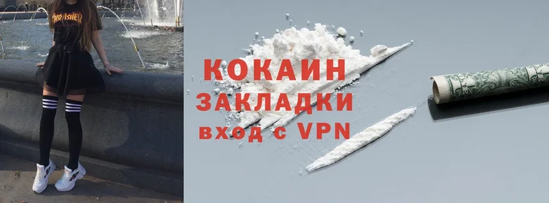 Cocaine FishScale  сколько стоит  Узловая 